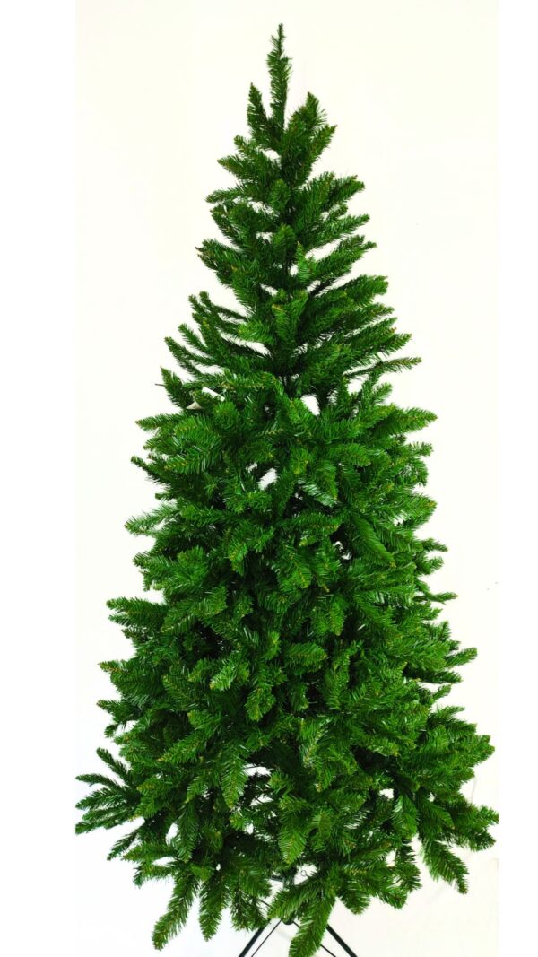 Pino Real Canadiense | Árbol navideño 210 cm Premium