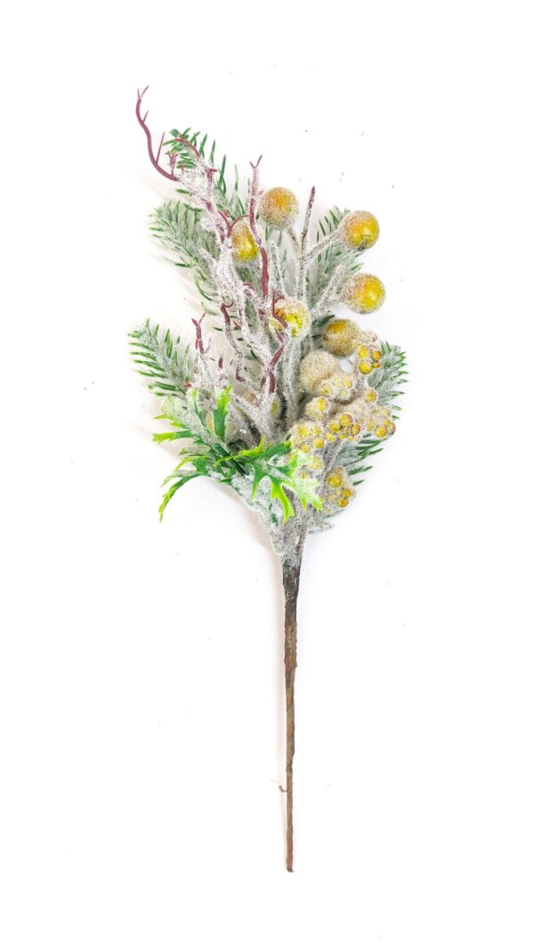 Rama Lima 37 cm